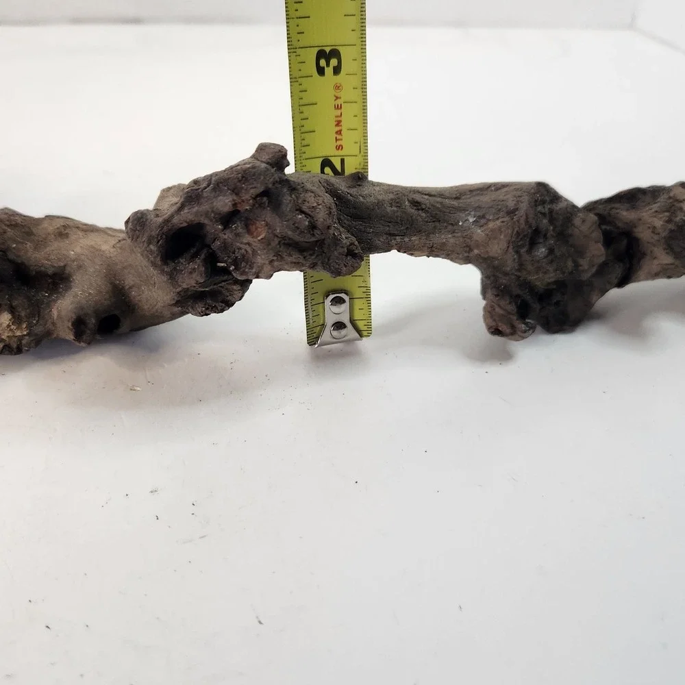 Natural driftwood for aquarium/terrarium/arts and crafts/Taxidermy 12.25